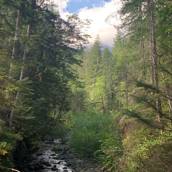 Meet your Posher, Luke - Picture 1 of 1